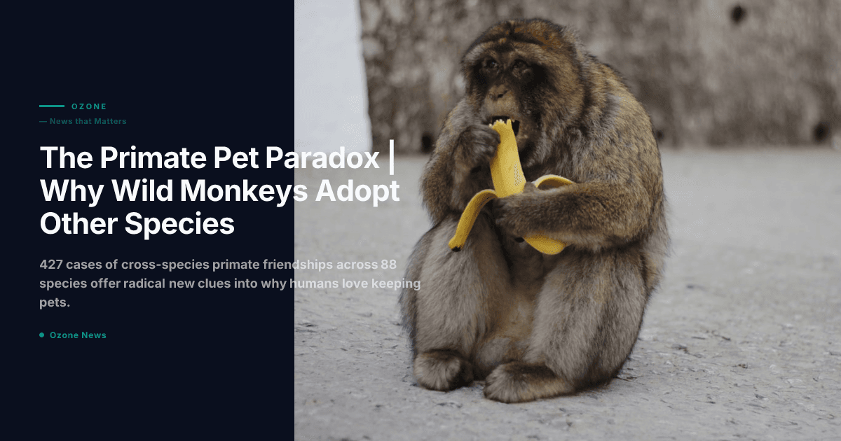 Primate Pet Paradox | Wild Monkeys Adopt Other Species